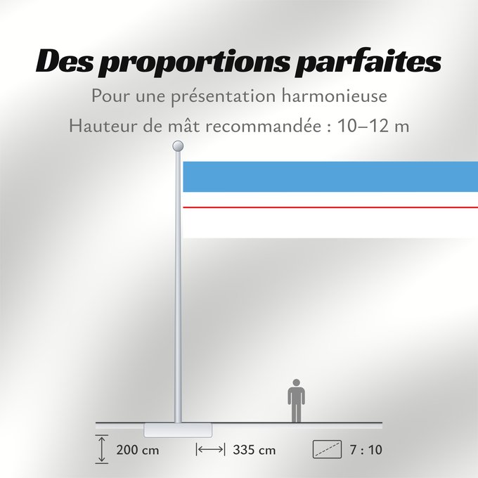 Proportions du drapeau : Roraima