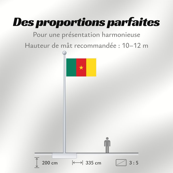 Proportions du drapeau : Cameroon Cameroun Camerún Kamerun Camerun ক্যামেরুনের পতাকা। Kamerunu Kameruno پرچم کامرون Fändel vum Kamerun Знаме на Камерун Camerunului Kameruna Kameruns