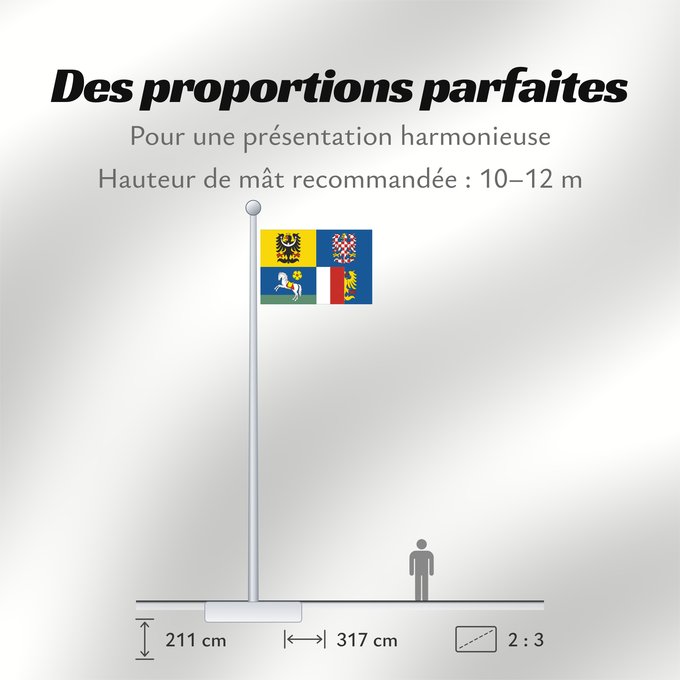 Proportions du drapeau : Moravian-Silesian Region Région de Moravie-Silésie Región de Moravia-Silesia Moravian-Silesian Moravskoslezského kraje čtvrcený list v horním žerďovém žlutém poli slezská orlice v dolním žerďovém modrém poli na zeleném trávníku