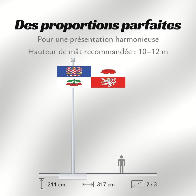 Proportions du drapeau : Vysocina Region	Vysočina Region	Région de Vysočina	Región de Vysočina	Region Vysočina