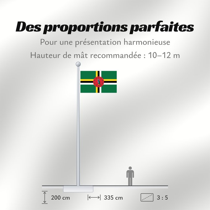 Proportions du drapeau : Dominica	 Dominique	Dominica lipp	Dominican	ドミニカ国の国旗	Флаг Доминики	Dominike	Dominicas