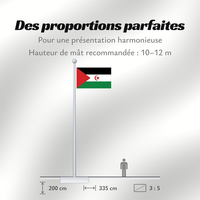 Proportions du drapeau : Sahrawi Arab Democratic Republic	Western Sahara	République arabe sahraouie démocratique	República Árabe Saharaui Democrática	Demokratischen Arabischen Republik Sahara	Repubblica Democratica Araba Sahrawi	Arabische Democratische Republiek Sahara	República 