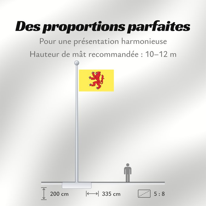 Proportions du drapeau : Powys	Welsh Kingdom of Powys and the House of Mathrafal