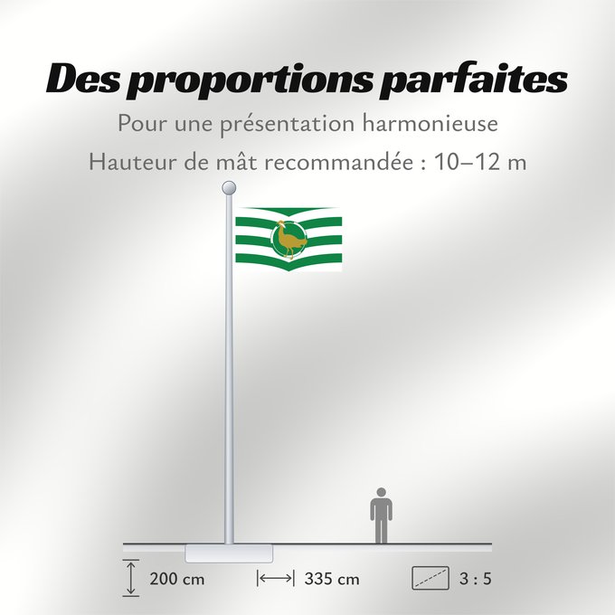 Proportions du drapeau : Windsor and Maidenhead