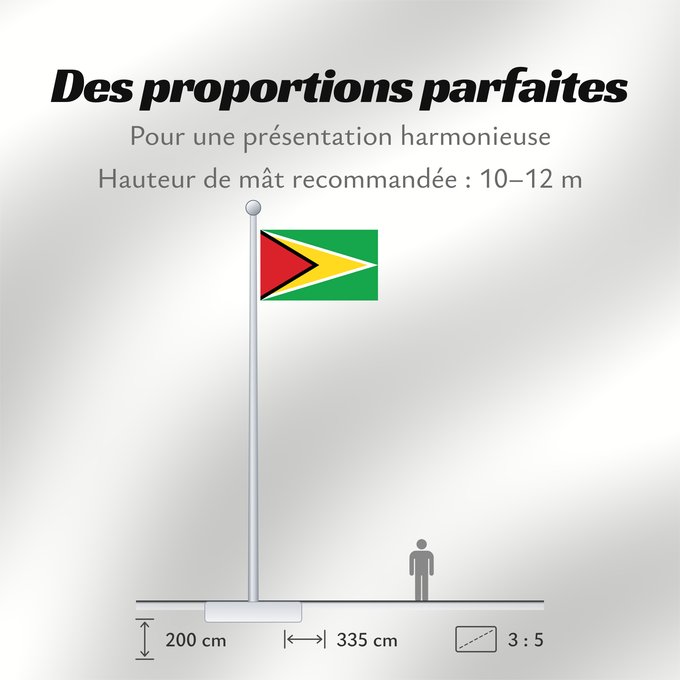 Proportions du drapeau : Guyana Guiana Wayana wiphala Gujano Gwayana Wayana unancha Флаг Гайаны Guyanas Quốc kỳ Guyana