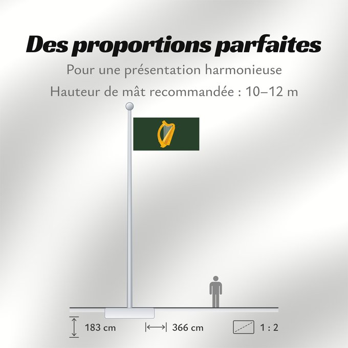 Proportions du drapeau : Leinster W Leinster