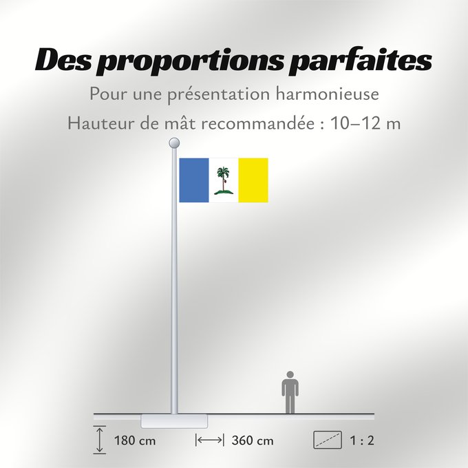 Proportions du drapeau : Pulau Pinang