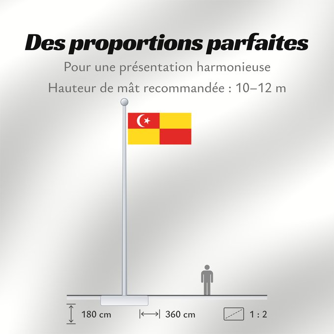 Proportions du drapeau : Selangor	Selangor 	Malaysian state Selangor
