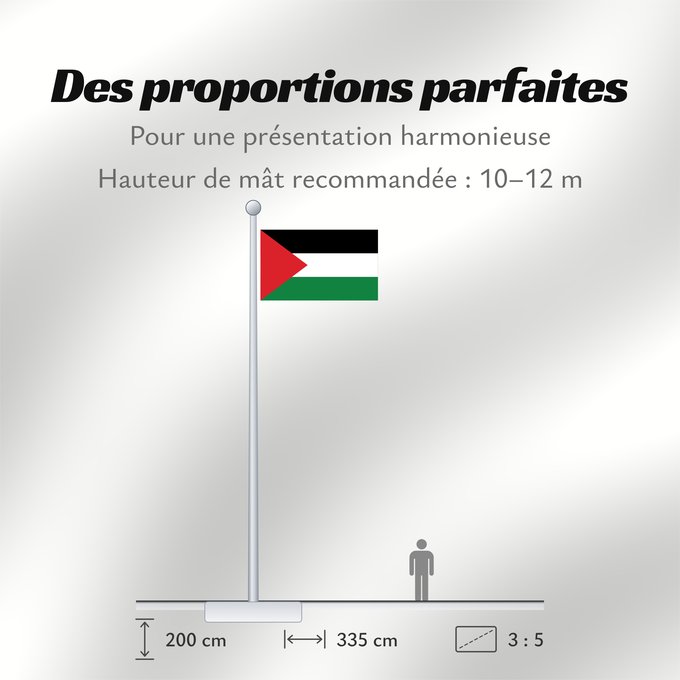 Proportions du drapeau : Palestine State of Palestine L’État de Palestine Estado de Palestina Palästina Palestina علم فلسطين ফিলিস্তিনের পতাকা Palestino Dari Negara Palestina Флаг Государства Палестина