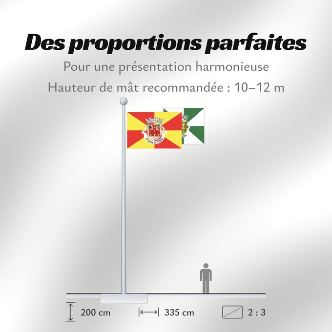 Proportions du drapeau : Viseu