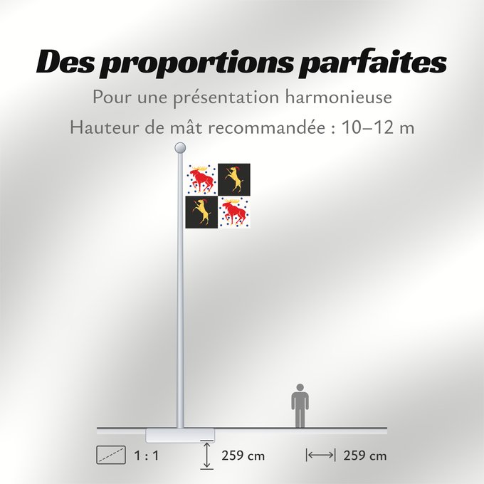 Proportions du drapeau : Gävleborgs län vapenflagga	Gävleborg County in Sweden	comté de Gävleborg	Gävleborg	Gävleborgs län	Gävleborg County	Gävleborgs läns vapenflagga