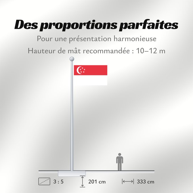 Proportions du drapeau : Singapore Singapour Singapur Singapuru علم سنغافورة Singapuro Singapura Флаг Сингапура Singapurja சிங்கப்பூரி்ன் கொடி 新加坡国旗