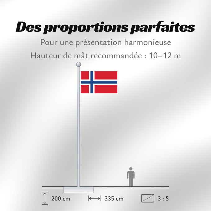 Proportions du drapeau : Svalbard and Jan Mayen