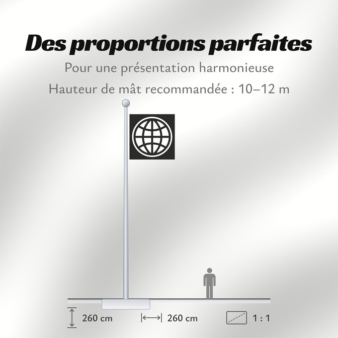 Proportions du drapeau : The World Bank Group