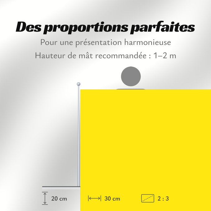 Proportions du drapeau : Zingem	Belgian municipality Zingem