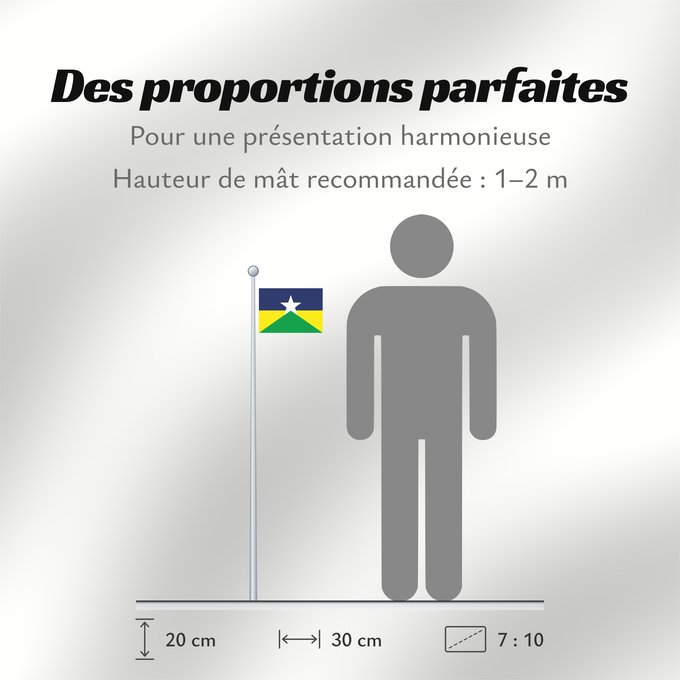 Proportions du drapeau : Rondônia