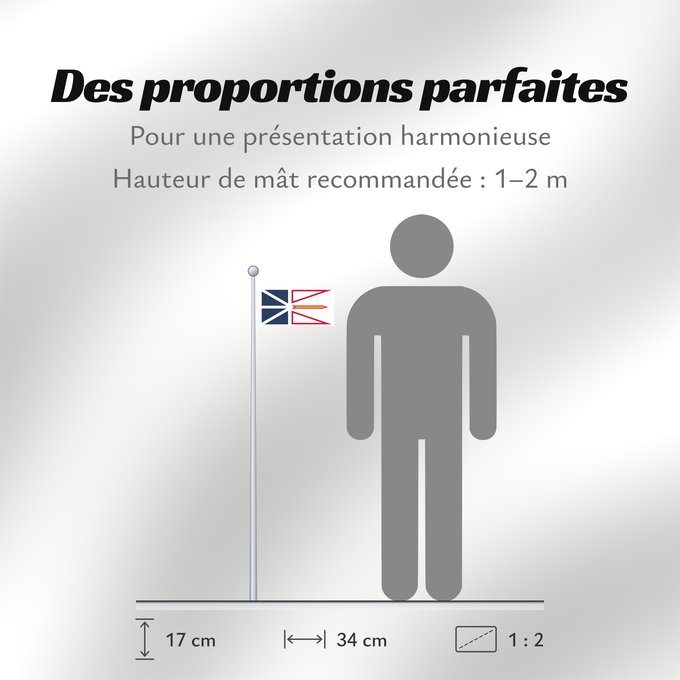 Proportions du drapeau : Newfoundland and Labrador	Terre-Neuve-et-Labrador	Terranova y Labrador	Neufundland und Labrador	Terranova	Banniel Douar-Nevez ha Labrador