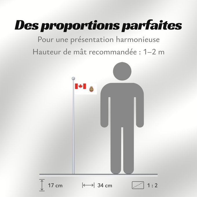 Proportions du drapeau : Canadian Forces	Joint service flag of the Canadian Forces	Drapeau de service interarmées des Forces canadiennes	Bandera de servicio conjunto de las Fuerzas Canadienses	Gemeinsame Dienstflagge der kanadischen Streitkräfte	Bandiera di servizio congiunto del