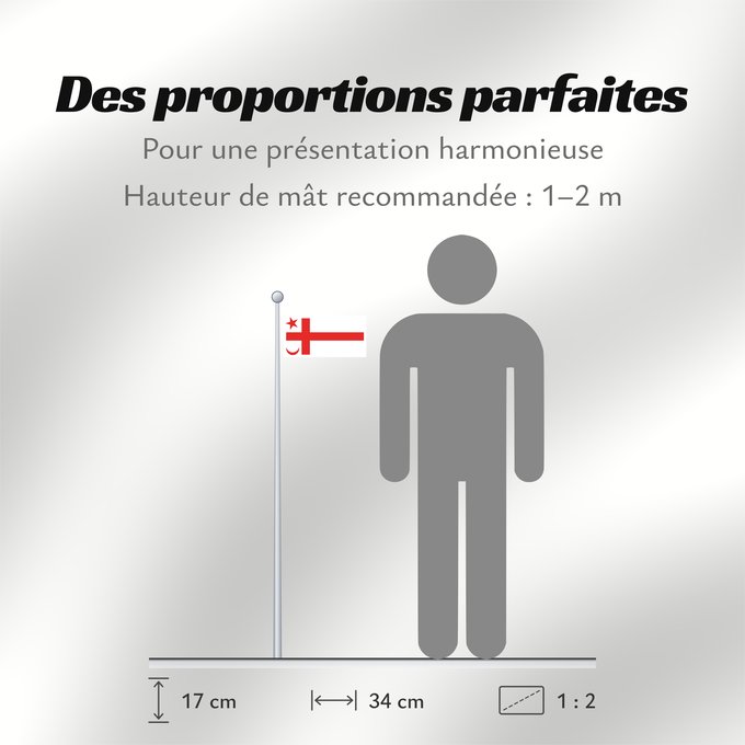 Proportions du drapeau : Mikmaq State	Míkmaq State flag  Canada