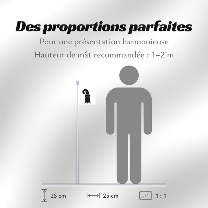 Proportions du drapeau : Canton of Basel Canton of Basel City Basel Stadt/Bâle Ville Bâle-Ville Basilea-Ciudad Kantons Basel-Stadt Basilea Città