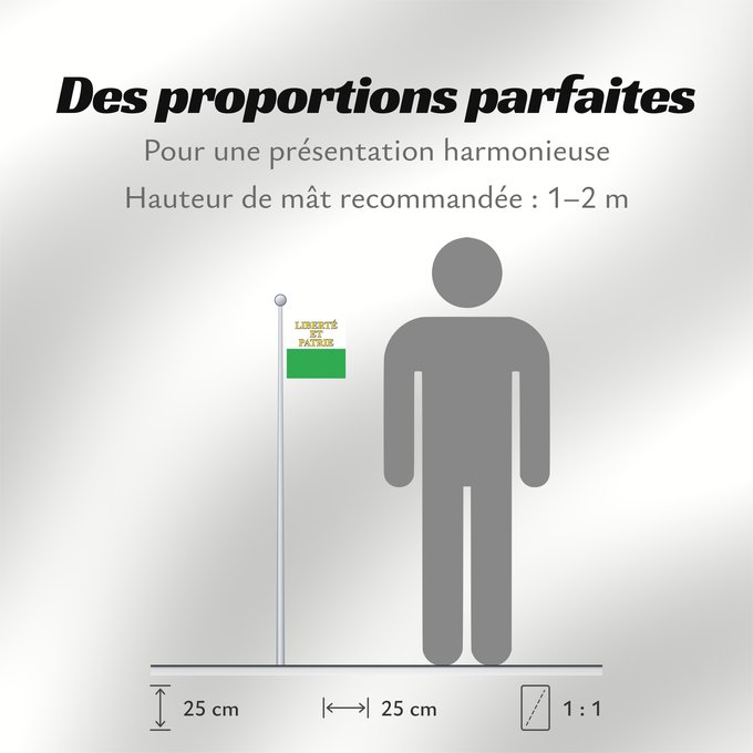 Proportions du drapeau : Canton of Vaud	Vaud	canton de Vaud	República y cantón de Vaud	Vaud 