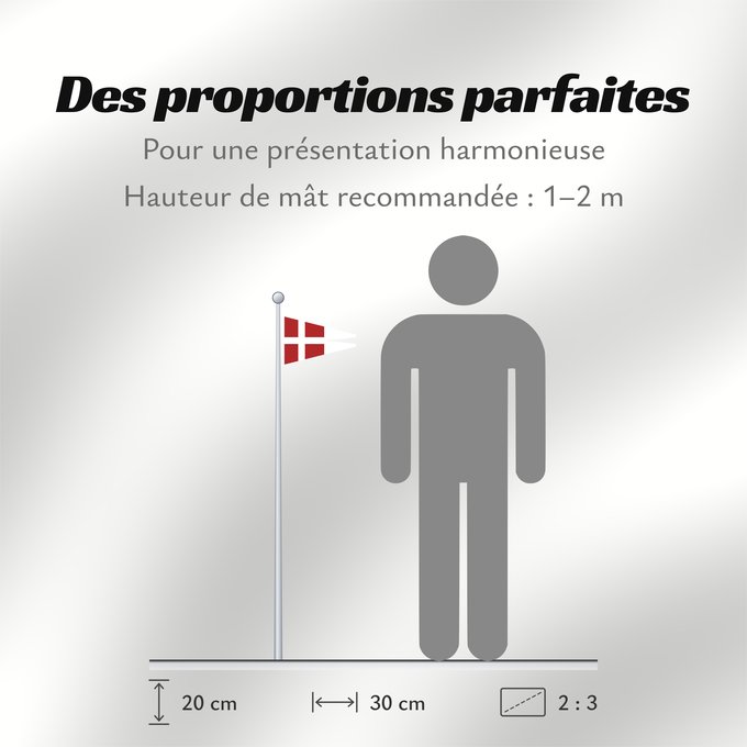 Proportions du drapeau : Naval Rank Flag of Denmark - Chief of Squadron	Danish naval rank flag for the Chief of Squadron	Eskadrechefsstander