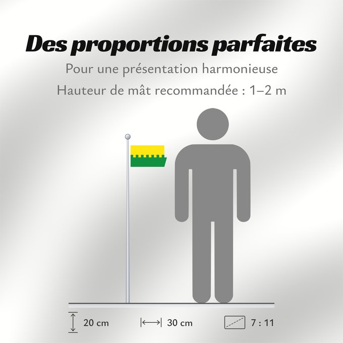 Proportions du drapeau : Saue Former Saue urban municipality until 2017 Saue (ancienne municipalité) Saue (antiguo municipio) Saue (ehemalige Gemeinde) Saue (ex comune)