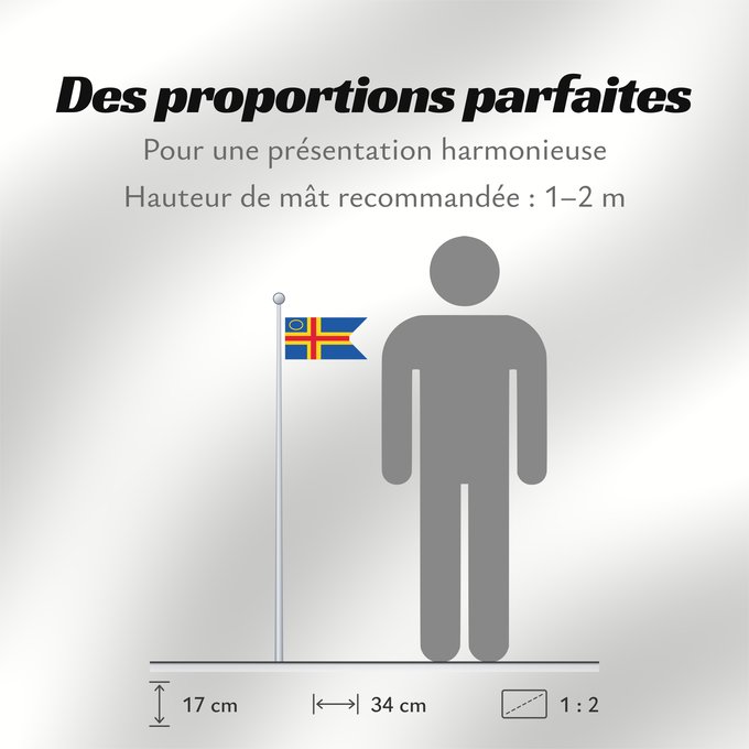 Proportions du drapeau : Åland Yachting Clubs	This file is in the public domain in Finland because it is a part of a decision or a statement issued by a public authority or other public body in Finland and is not an independent work	Clubs de voile d'Åland	Clubes Náuticos de Åland