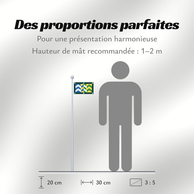 Proportions du drapeau : Cumbria