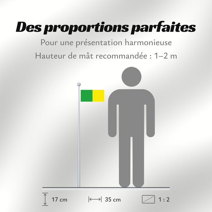 Proportions du drapeau : Counties of Donegal, Leitrim and Meath	Comtés de Donegal, Leitrim et Meath	Condados de Donegal, Leitrim y Meath	Grafschaften Donegal, Leitrim und Meath	Contee di Donegal, Leitrim e Meath