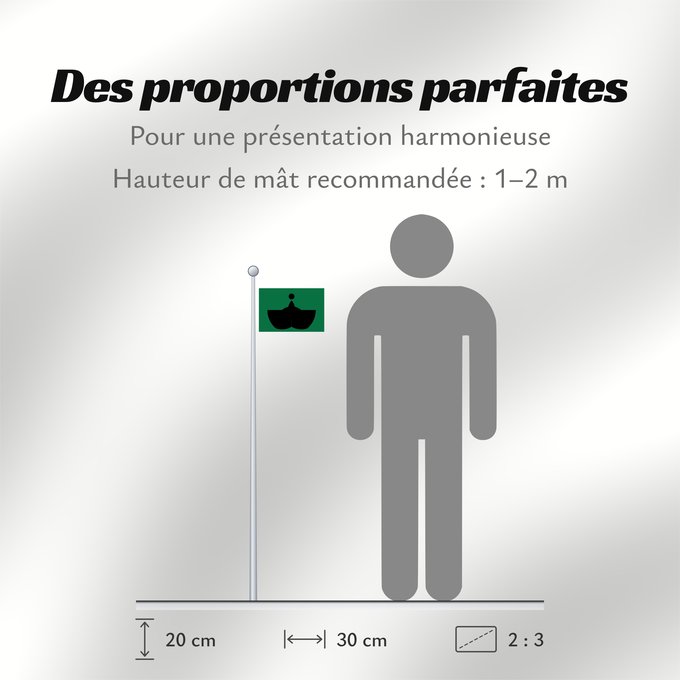 Proportions du drapeau :  Tiba [Chiba]
