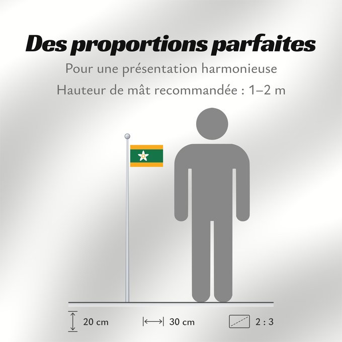 Proportions du drapeau : Ehime Prefecture	Préfecture d'Ehime	prefectura de Ehime	Präfektur Ehime	愛媛県の旗	에히메기 / 愛媛縣旗	​愛媛縣旗