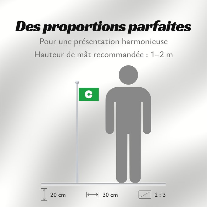 Proportions du drapeau : Kumamoto