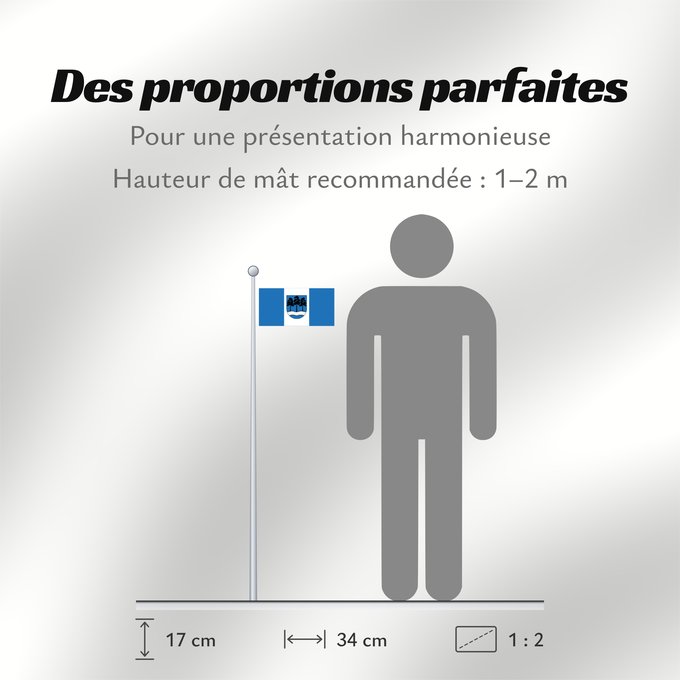 Proportions du drapeau : Ogre	Ogre, Latvia	Ogres