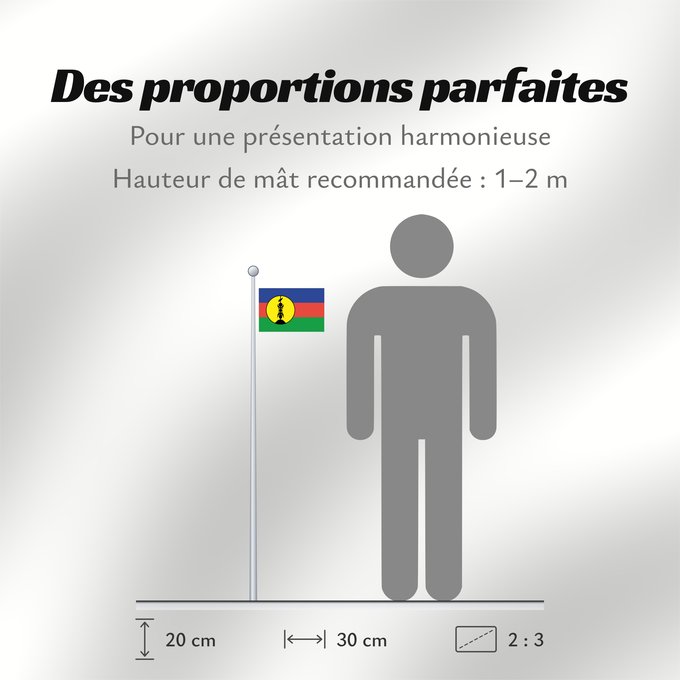 Proportions du drapeau : FLNKS	Kanak and Socialist National Liberation Front political party	Front de libération nationale kanak et socialiste	Colores Pantone http //www	Neukaledonien	Nuova Caledonia	Front d Alliberament Nacional Canac Socialista