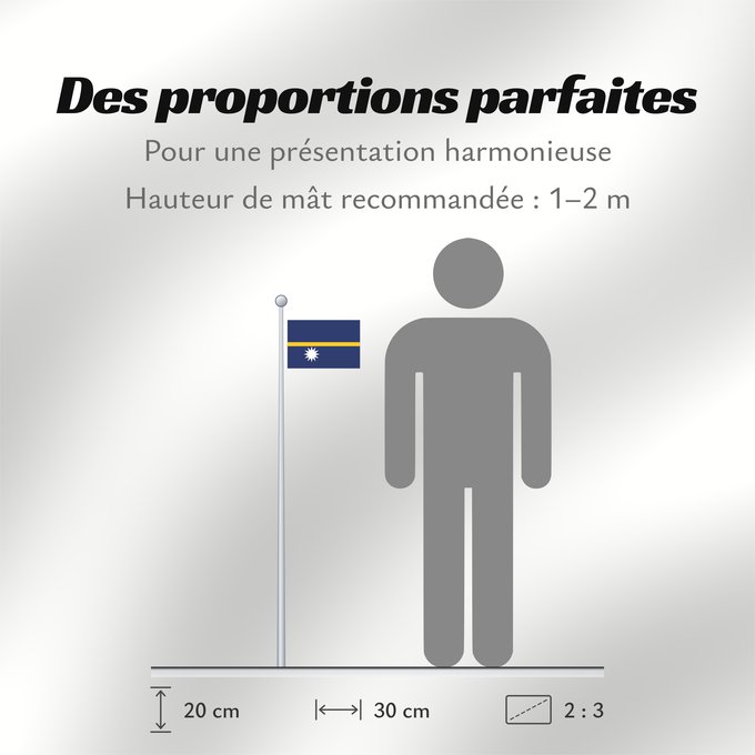 Proportions du drapeau : Nauru The national flag of Nauru La bandera nacional de Nauru Nazionale di Nauru A bandeira nacional de Nauru Σημαία του Ναουρού La nacia flago de Nauro Nauru lipp Naurun דגל נאורו Знаме на Науру Anidenin Naoero Флаг Науру Nauru leavga Nauruja Naurus Naur