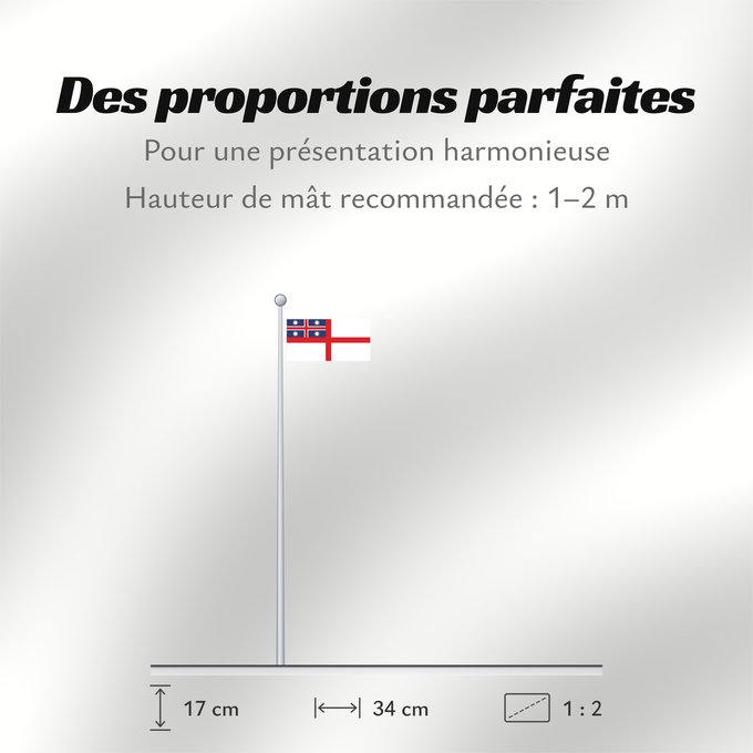 Proportions du drapeau : United Tribes of New Zealand	Tribus unies de Nouvelle-Zélande	Tribus Unidas de Nueva Zelanda	Vereinigte Stämme von Neuseeland	Tribù Unite della Nuova Zelanda	Guessed the proportions