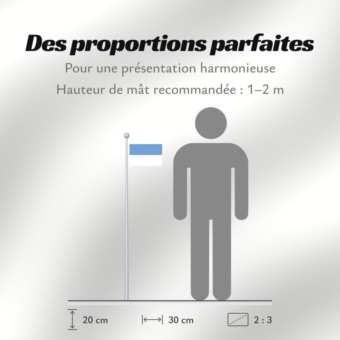 Proportions du drapeau : Puno