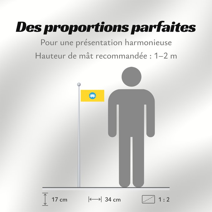 Proportions du drapeau : Kalmykia	Kalmoukie	República de Kalmukia 	Kalmückien	Флаг Республики Калмыкия	Туг Хальмг Таңһч