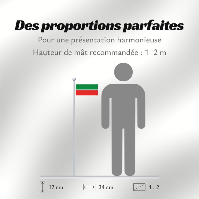 Proportions du drapeau : Tatarstan	Republic of Tatarstan	Tatarstan ou République du Tatarstan	Tartaristán	Государственный флаг Республики Татарстан	Татарстан Республикасының Дәүләт флагы	Прапор Республіки Татарстан РФ