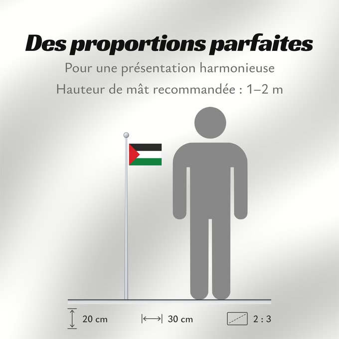 Proportions du drapeau : Hejaz 1920	Hejaz from 1920 to 1926  1338 to 1344 AH	علم الحجاز منذ عام ١٣٣٨ حتى عام ١٣٤٤	Флаг Хиджаза 1920-1926  1338-1344 по мусульманскому летоисчислению