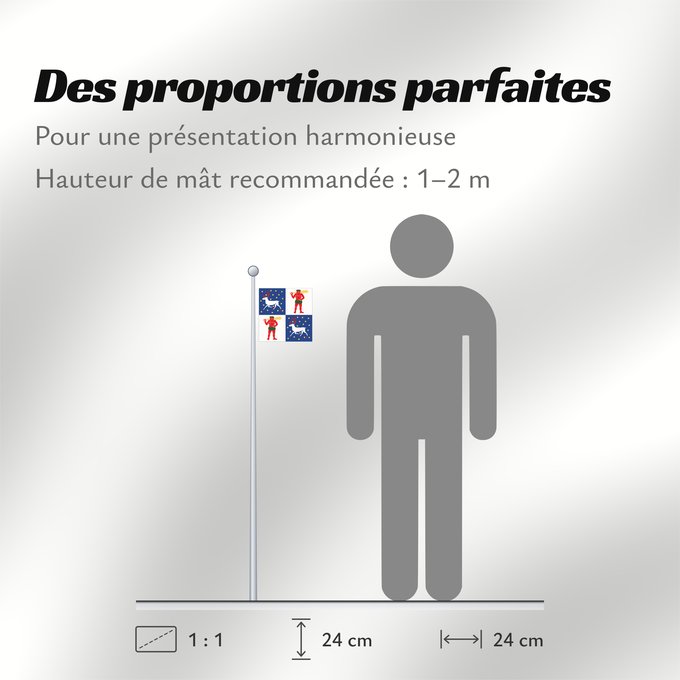 Proportions du drapeau : Norrbottens län vapenflagga Norrbotten County in Sweden Norrbotten Norrbottens läns vapenflagga