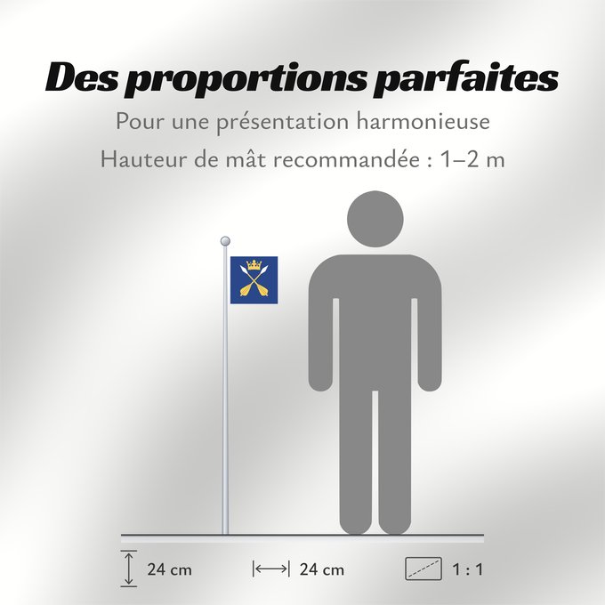 Proportions du drapeau : Dalarnas län