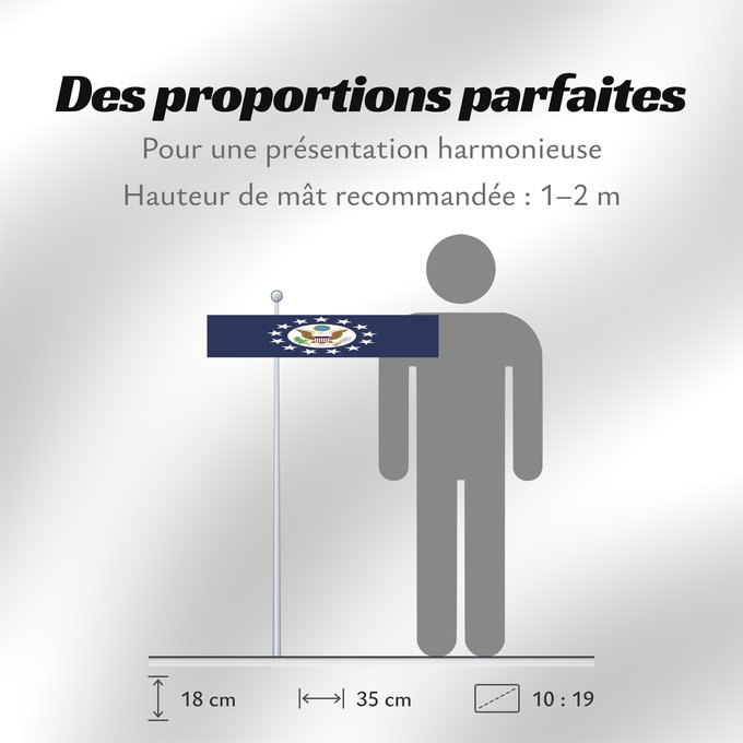 Proportions du drapeau : United States ambassador	US Ambassador to an accredited sovereign foreign government	Ambassadors of the United States	Ambasciatori degli Stati Uniti