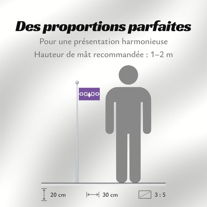 Proportions du drapeau : Iroquois	Iroquois Confederacy, Hiawatha Belt	Confédération Iroquoise	Confederación Iroquesa (Cinturón de Hiawatha)	Irokesen-Konföderation (Hiawatha-Gürtel)	Confederazione Irochese (Cintura di Hiawatha)