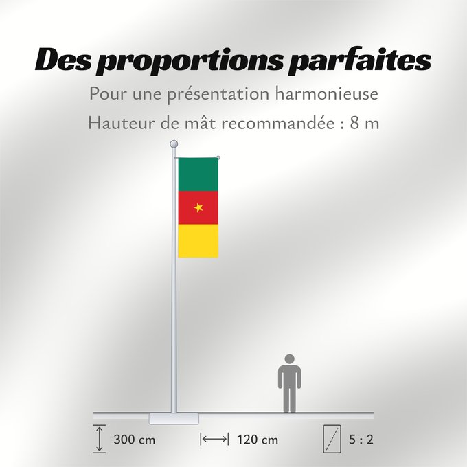 Proportions du drapeau : Cameroon Cameroun Camerún Kamerun Camerun ক্যামেরুনের পতাকা। Kamerunu Kameruno پرچم کامرون Fändel vum Kamerun Знаме на Камерун Camerunului Kameruna Kameruns