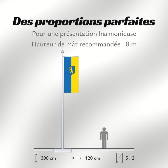 Proportions du drapeau : Biberach an der Riß (Württembergisches Allgäu Oberschwaben)