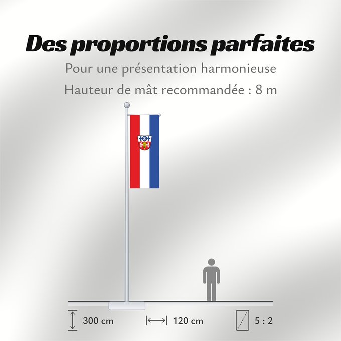 Proportions du drapeau : Saaldorf-Surheim (Berchtesgadener Land)