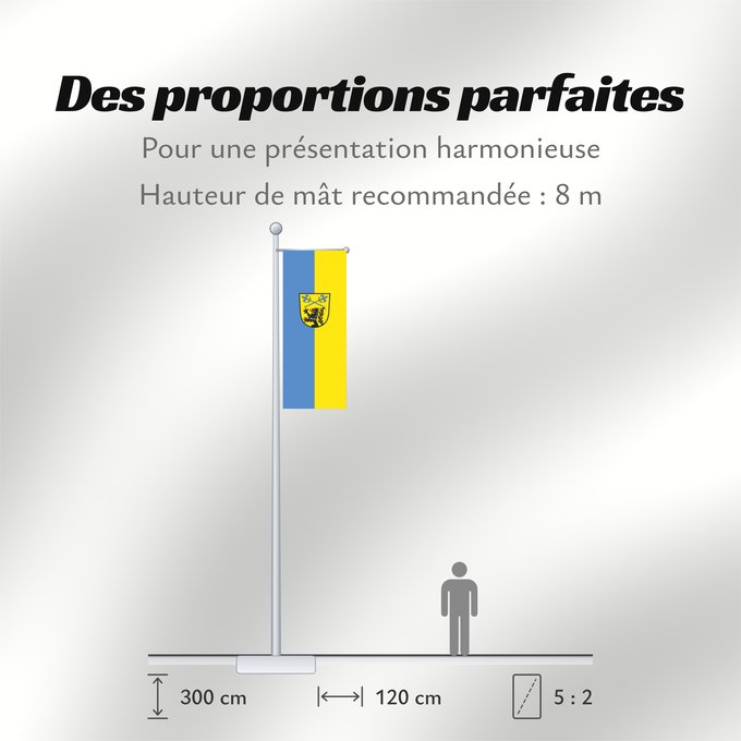 Proportions du drapeau : Anzing (Ebersberger Grünes Land)