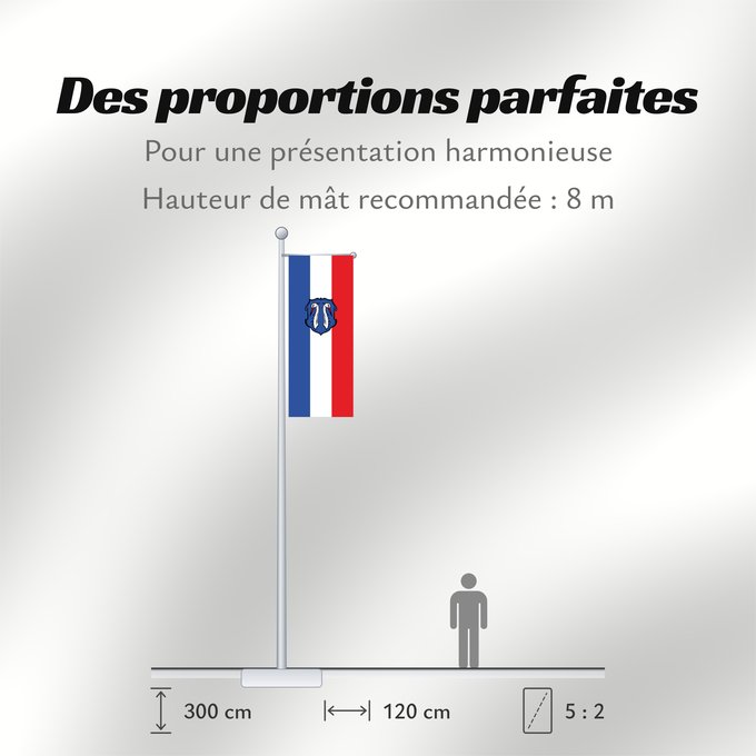 Proportions du drapeau : Reichertshofen, M (Oberbayerns Städte)